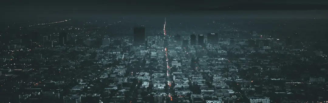 City grid glowing at night seen from a hillside, streets of lights reaching the horizon