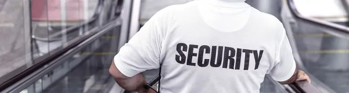 What Do Security Guards Do? The Secret Life of Security