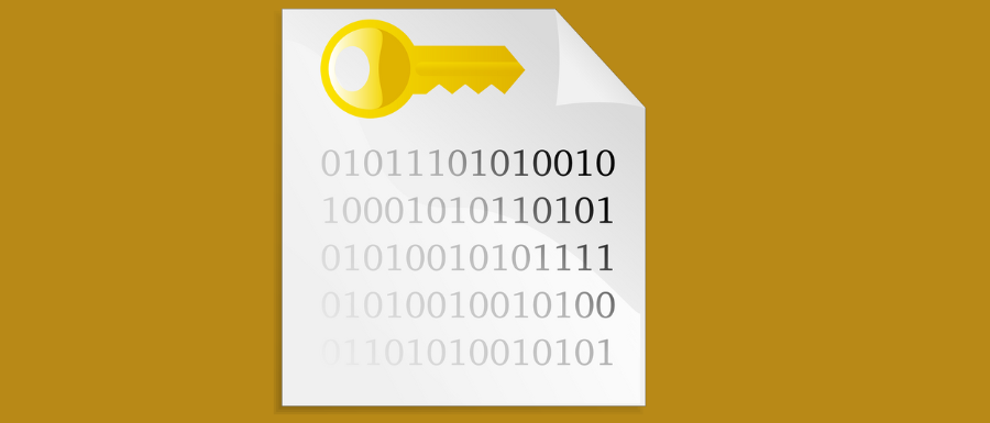 Advanced Encryption Protocols